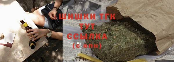 ПСИЛОЦИБИНОВЫЕ ГРИБЫ Новозыбков