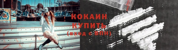 трава Няндома