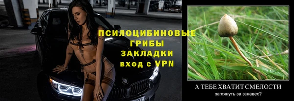 трава Няндома