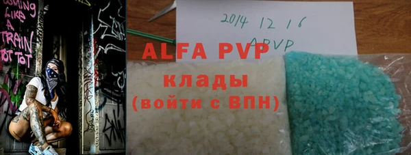 ПСИЛОЦИБИНОВЫЕ ГРИБЫ Новозыбков