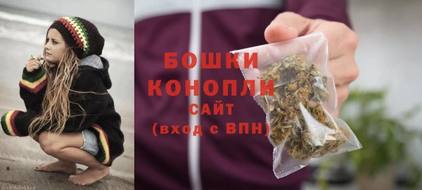дурь Новодвинск
