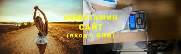 трава Няндома