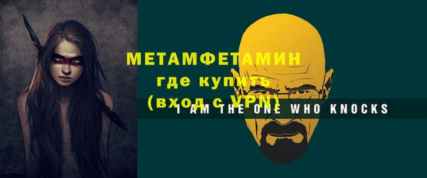 трава Няндома