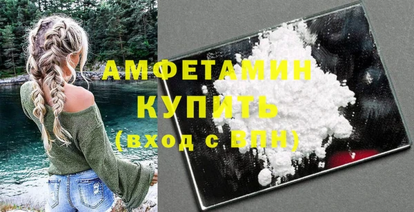 ПСИЛОЦИБИНОВЫЕ ГРИБЫ Новозыбков