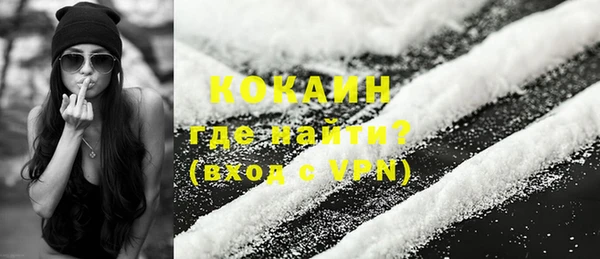 ПСИЛОЦИБИНОВЫЕ ГРИБЫ Новозыбков