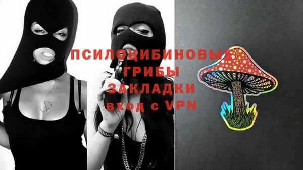 трава Няндома